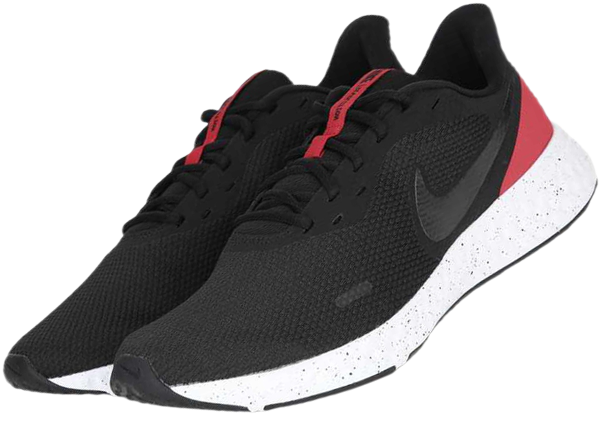 shoe